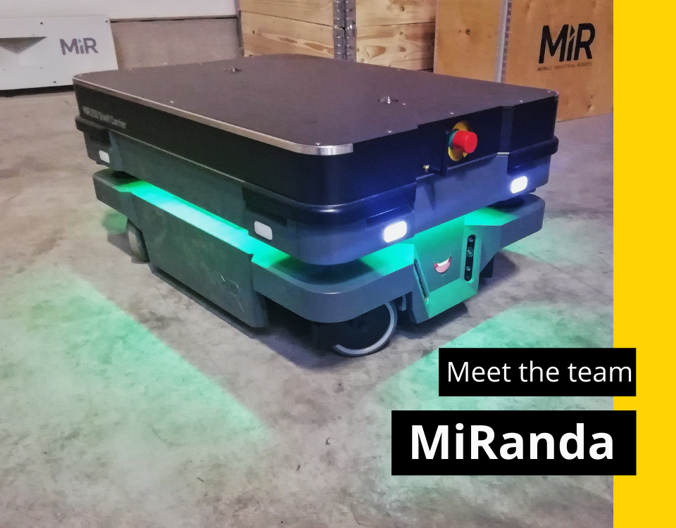 Meet the team – MiRanda – THUMBNAIL BLOG